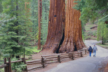 2-Day Yosemite National Park Tour from San Francisco