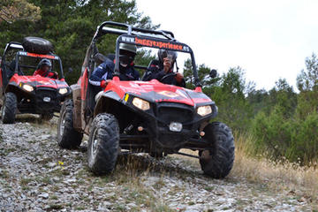 2 Hour Buggy Tour in Vic