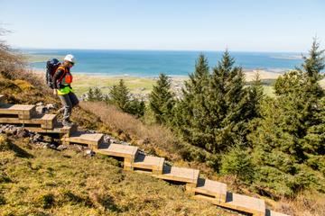 2-Hour Surf Lesson and Guided Walking Tour of Coolera Peninusla from Strandhill Village