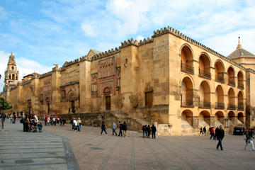 2- or 3-Day Trip to Cordoba and Seville from Madrid by Bus and High Speed Train