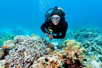 2-Tank Scuba Diving Tour from Providenciales