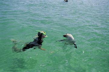 3-Day Eyre Peninsula Wildlife Adventure with Optional Shark Cage Dive from Adelaide