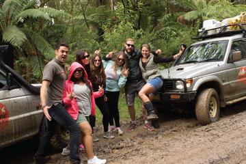 3-Day Great Ocean Road Camping Tour Including Twelve Apostles, Loch Ard Gorge and Apollo Bay