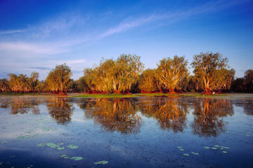 3-Day Kakadu National Park and Waterfalls Tour from Darwin