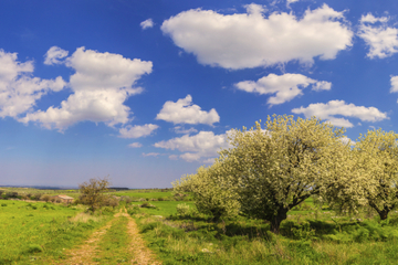3-Day Matera Experience: Cooking Classes, Sassi of Matera and Alta Murgia National Park Visits
