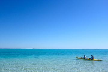 3-Day Ningaloo Reef Kayaking, Snorkeling and Camping Tour from Exmouth