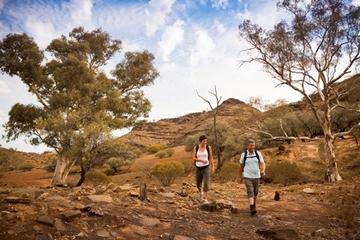 3-Day Small-Group Eco-Tour from Adelaide: Flinders Ranges