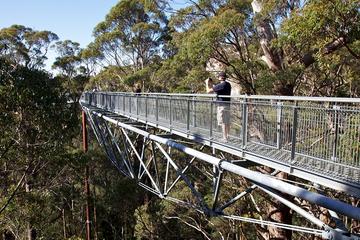 3-Day South West Tour from Perth Including Margaret River, Busselton and Albany