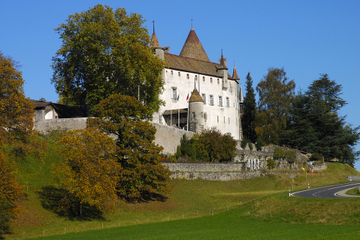 3-Day Switzerland Tour from Zurich to Geneva: Lucerne, Interlaken, Bern and Gruyères