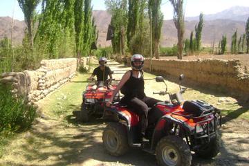 3-Day Tour of Cachi, Laguna Brealito and National Park Los Cardones