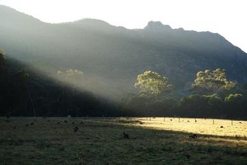 3-Day Tour: Road Trip Between Melbourne and Adelaide Including Great Ocean Road and the Grampians