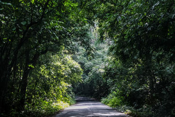 3-Day Weekend Tour in Srimangal