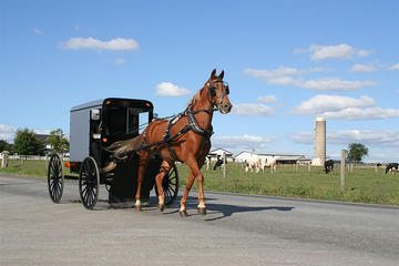 4-Day Amish Experience from New Hampshire