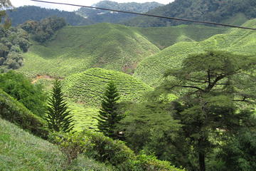 4-Day Highlights of Malaysia Tour from Kuala Lumpur to Penang