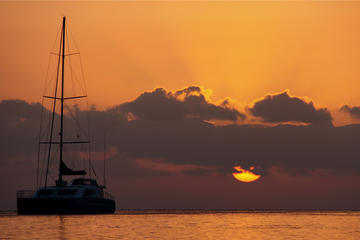 4-Day Monkey Mia Tour Including Wild Dolphin Encounter, The Pinnacles and Kalbarri