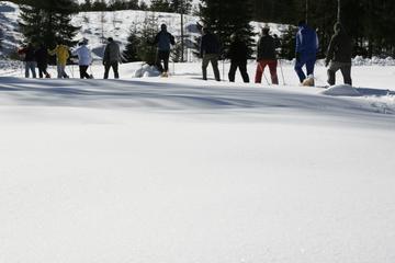 4-Day 'Snow Flake Dreaming' Outdoor Winter Tour
