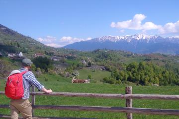 4-Day Trekking tour in the Carpathians: Bucegi Natural Park and Piatra Craiului National Park
