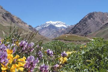 4-Day Trip in Mendoza and The Andes