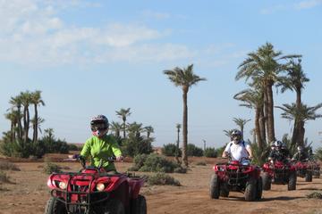 4-Hour Excursion from Marrakech to the Palm Grove including Quad Bike Ride