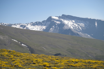 4WD Sierra Nevada Safari Private Tour in Granada