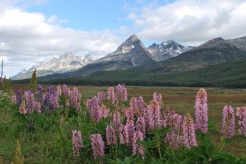 4x4 Off-Road Tierra del Fuego Adventure From Ushuaia