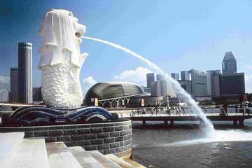 5-Day Best of Singapore Private Tour: City Sightseeing, Universal Studio, Legoland, Hello Kitty Town and Little Big Club