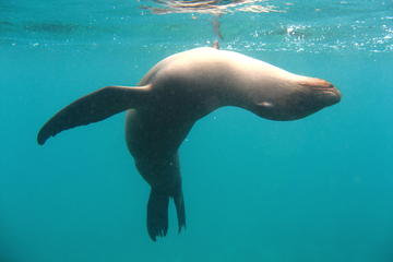 5-Day Galapagos Islands Highlights Tour