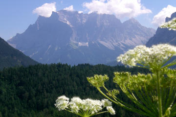 5-Day Tour from Munich to Frankfurt: Rothenburg, Augsburg, Zugspitze