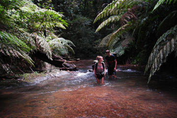 5-Day Wild Jungle Ranger Adventure Tour from Bangkok