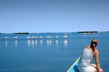 6-Day Buddhist and Wildlife Tour in Odisha