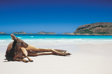 6-Day Camping Tour from Perth: Esperance, Stirling Ranges and Margaret River