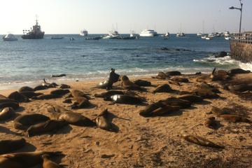 6-Day Galapagos Islands Adventure: Diving, Hiking and Snorkeling