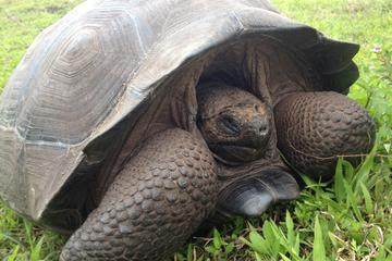 6-Day Galapagos Islands Highlights Tour