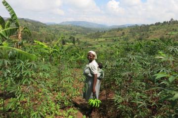 7 Day Cultural Explorer Experience in Rwanda