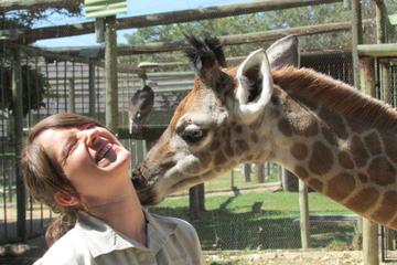 7-Day Private Wildlife Safari of Kruger Park