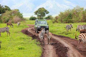 7 Days Tanzania Backpackers Safaris