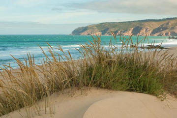8 Days and 7 Nights Surf Family in Cascais