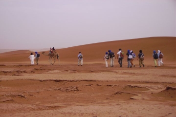 8-Day Camel Trekking Tour in the Moroccan Sahara Desert from Marrakech