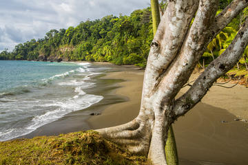 8 Day Costa Rica Natural Wonders Adventure