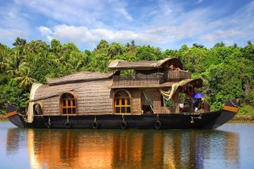 8-Day Kerala and Goa Tour: Backwaters and Beaches from Kochi to Goa by Air