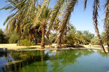 8-Day Siwa Oasis Explorer Tour from Cairo