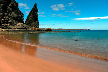 8-days Galapagos Island Hopping Tour: Land Tour Visiting 4 Islands