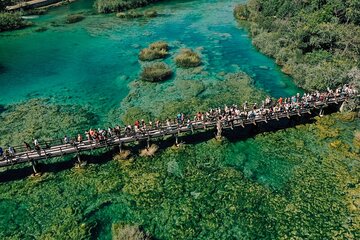 From Split: Krka Waterfalls, Food & Wine Tasting Tour