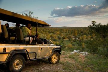 9-Day Private Tour of Kruger National Park