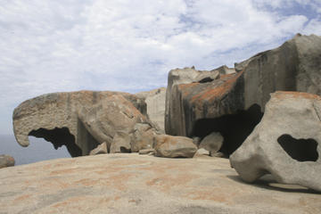 Adelaide Super Saver: Kangaroo Island Tour Plus Adelaide City Sightseeing