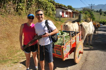 Adventure Transfer from San Jose to Arenal: Coffee Tour, Poas Volcano and La Paz Waterfall Gardens