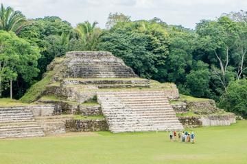 Altun Ha and Belize City Half-Day Tour