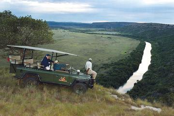 Amakhala Private Game Reserve Day Tour from Port Elizabeth