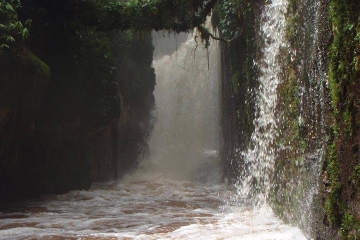 Amazon Water Falls