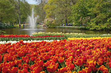 Amsterdam Combo: Skip-the-Line Keukenhof Gardens and Van Gogh Museum with Canal Cruise